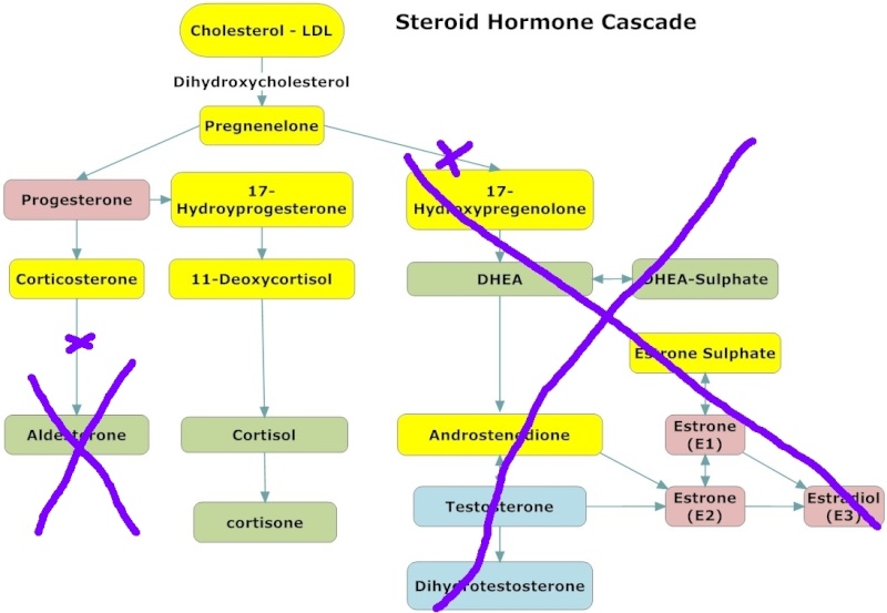 pregnenolone steal