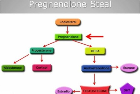 pregnenolone_steal1