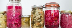 ferments